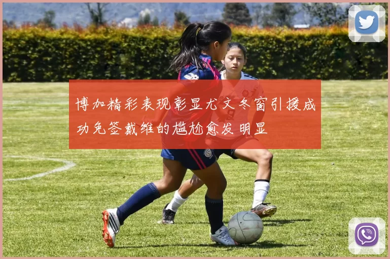 博加精彩表现彰显尤文冬窗引援成功免签戴维的尴尬愈发明显
